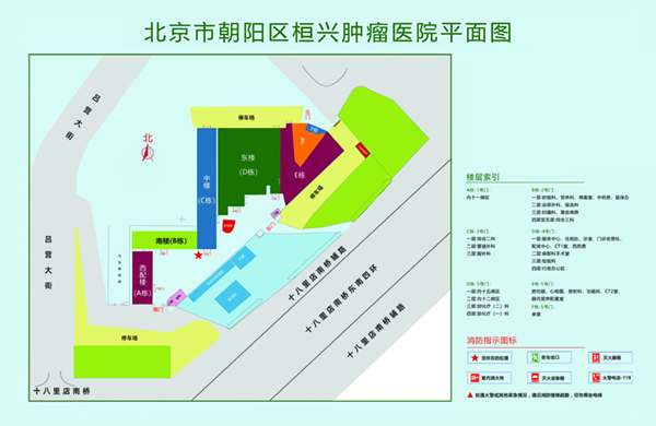 艹逼操逼毛北京市朝阳区桓兴肿瘤医院平面图